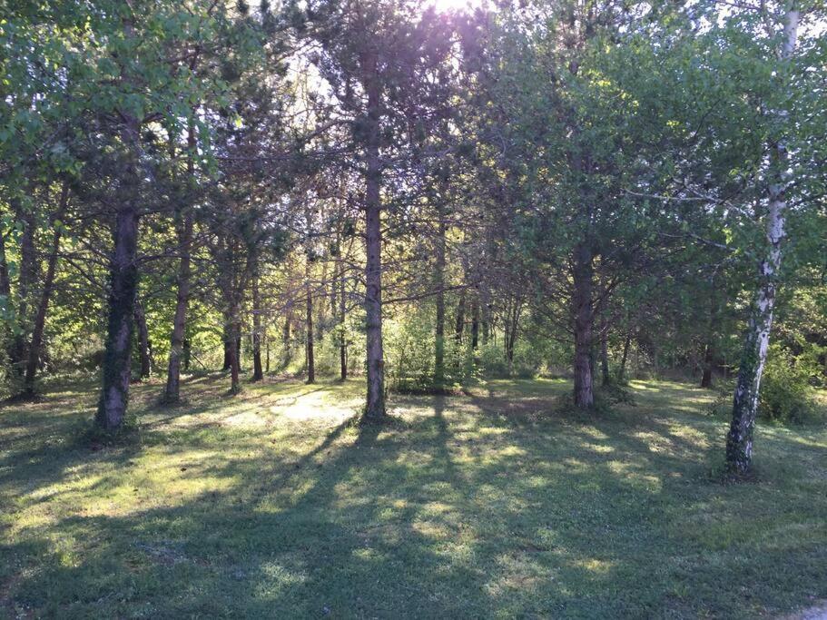 Grande Maison Avec Parc De 6000M2 Pompiey Dış mekan fotoğraf